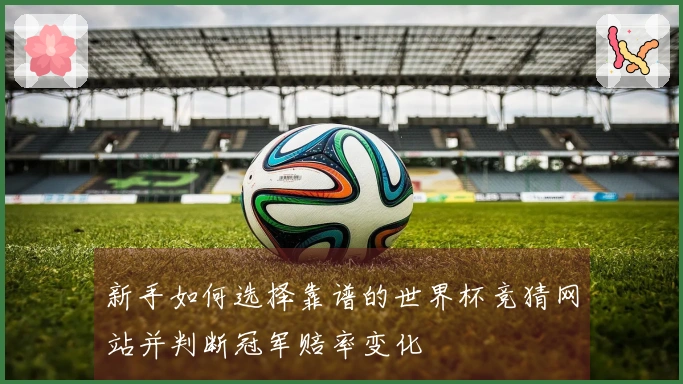 新手如何选择靠谱的世界杯竞猜网站并判断冠军赔率变化