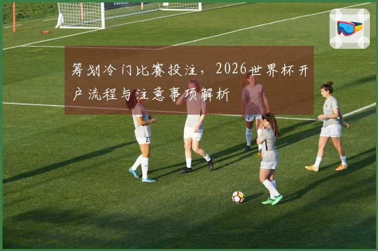 筹划冷门比赛投注，2026世界杯开户流程与注意事项解析