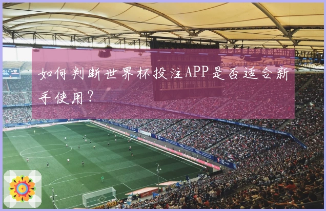 如何判断世界杯投注APP是否适合新手使用？