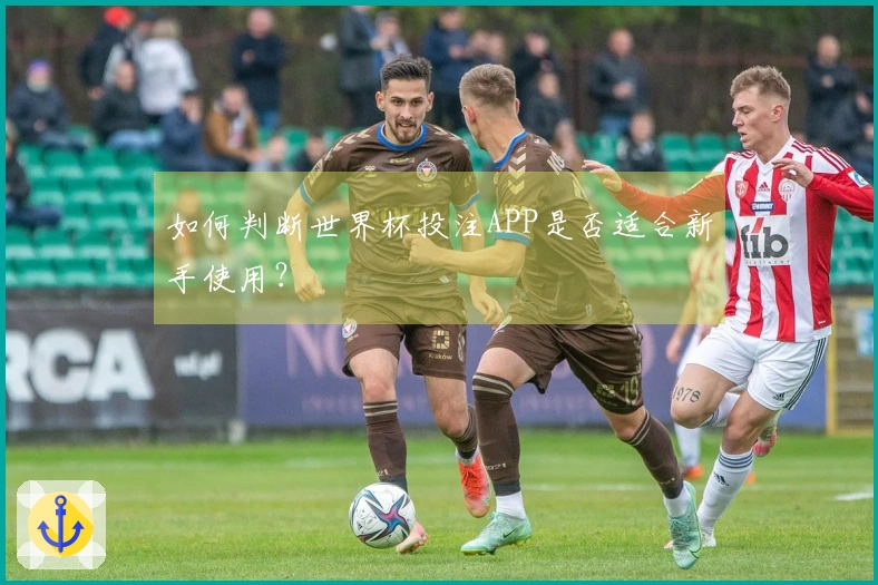 如何判断世界杯投注APP是否适合新手使用？