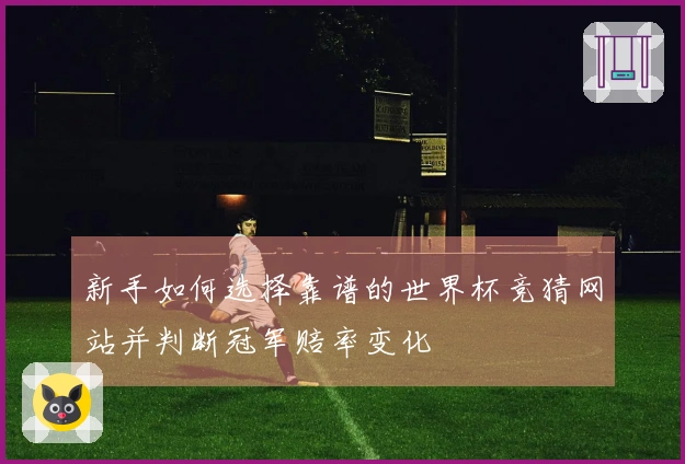 新手如何选择靠谱的世界杯竞猜网站并判断冠军赔率变化