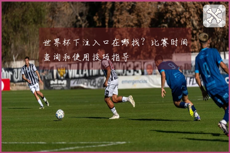 世界杯下注入口在哪找？比赛时间查询和使用技巧指导